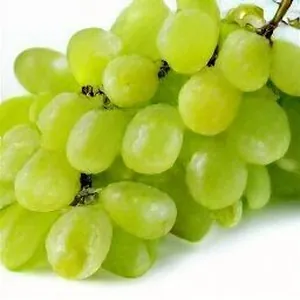 Seedless Green Grapes