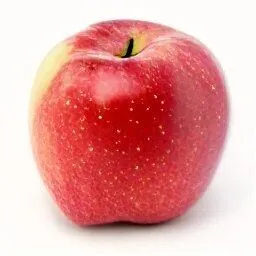 McIntosh Apple