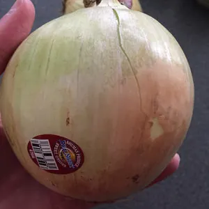 Sweet Onion