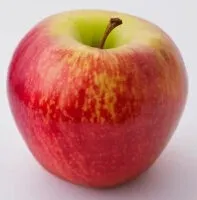 Gala Apple