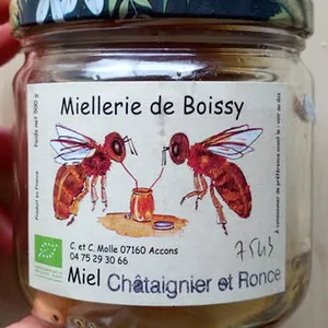 Miel châtaignier et ronce