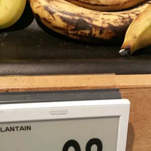 Plantains