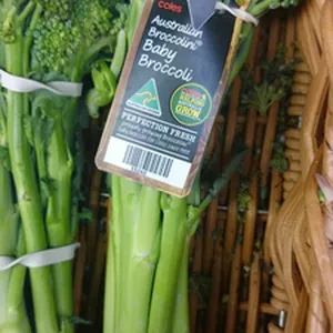 Australian  Broccolini Baby Broccoli