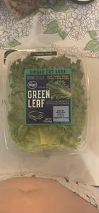 SINGLE CUT LEAF GREEN LEAF