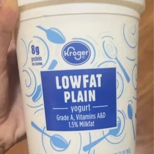 Lowfat Plain yogurt