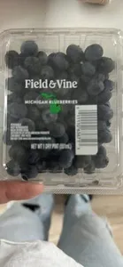 Michigan Blueberries