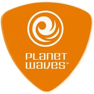 Planet Waves 2DOR2-25