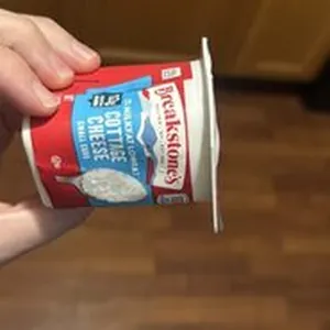 Cottage Cheese Small Curd