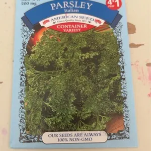 Parsley