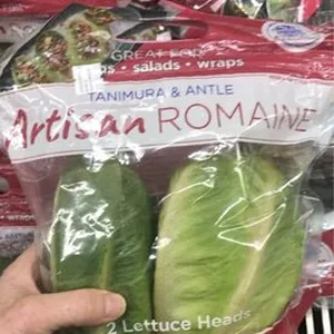 Artisan romaine