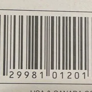 Gluten Free Panettone