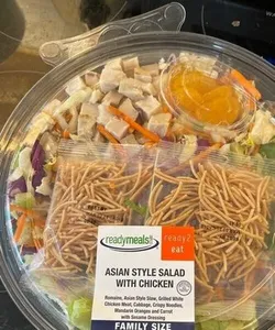 Asian style salad with chicken