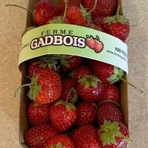 Fraises du Québec