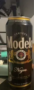 Modelo nega