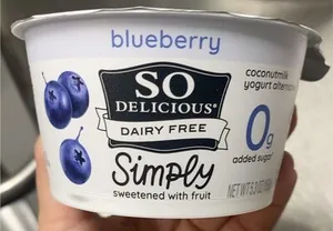 Coconut Milk Yogurt Alternative Blueberry