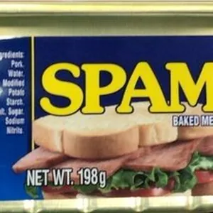 Spam Baked Meat