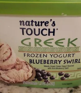 Nature's Touch Greek Frozen Yogurt Blueberry Swirl Ice Cream