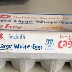 Extra large white eggs