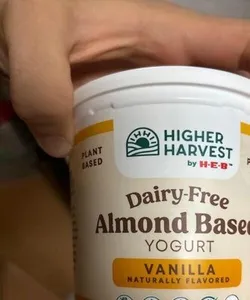 Almond Based Yogurt Vanilla