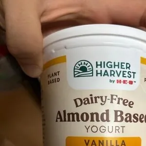 Almond Based Yogurt Vanilla