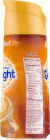 International delight gourmet coffee creamer hazelnut