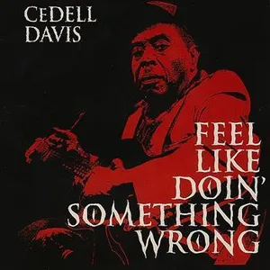 Davis Cedell: Feel Like Doin' Somethin' Wrong