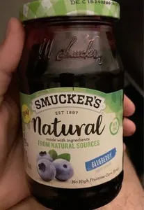 Natural Blueberry Fruit Spread