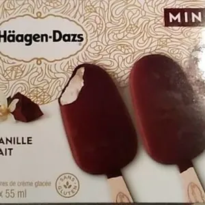 Barres de crème glacée