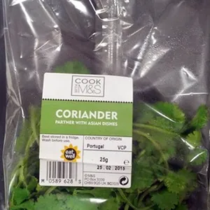 Coriander