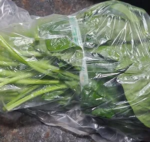 Saumon sauvage du pacifique