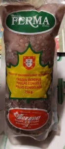 Frozen Octopus
