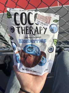 Dark Chocolate Covered Blueberries