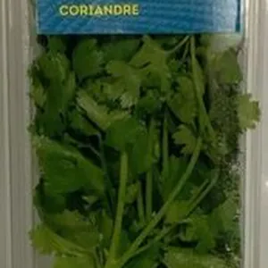 Coriandre