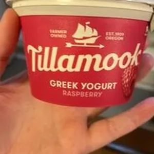 Greek Yogurt Raspberry