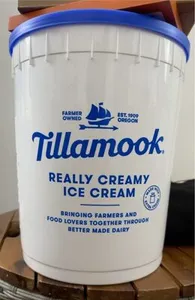 Really Creamy Ice Cream