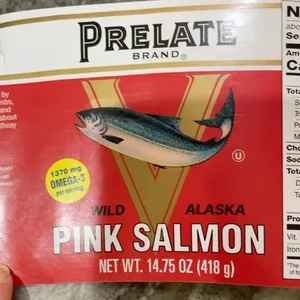 Salmon