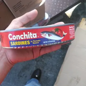 Sardines in tomato sauce