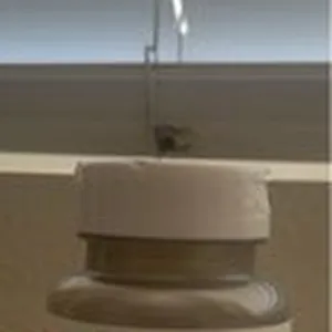 True Herbs Korean Ginseng 550 mg