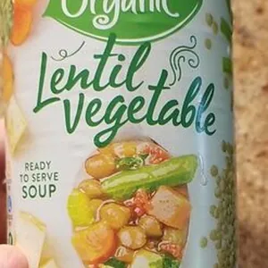 Lentil Vegetable soup