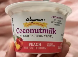 Coconut milk yogurt alternative