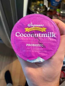 Coconutmilk Yogurt Alternative