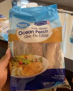 Ocean Perch