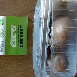 GREEN KIWI VERT - TURQUIE