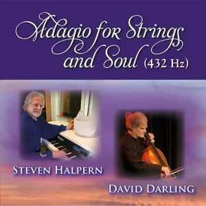 Halpern Steven & David Darling: Adagio for St...
