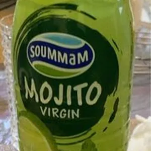 Mojito virigin