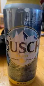 Buch Beer