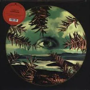 Lilacs & Champagne: Lilacs & Champagne