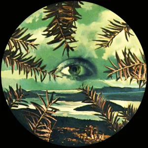 Lilacs & Champagne: Lilacs & Champagne