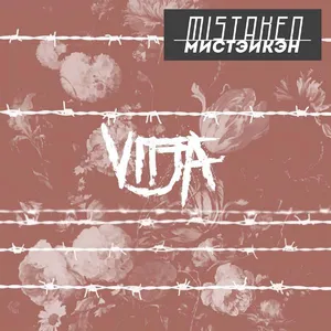 Vitja: Mistaken