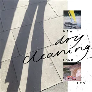 Dry Cleaning: New long leg